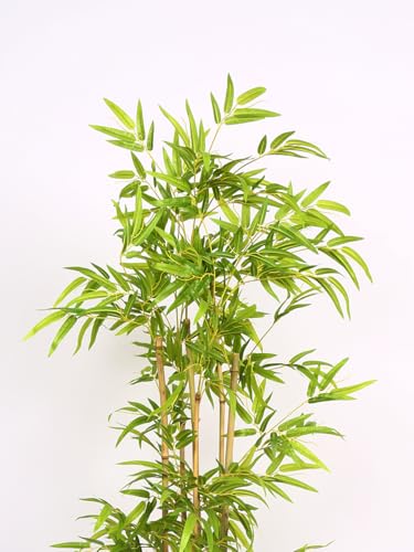 Image of ARICK DECOR Artificial Bamboo Tree 4Ft Tall in Pot - 120cm Realistic Faux Bamboo Silk Plant with Natural Look Canes, Peacock Shaped Floor Decor Greenery for Home, Living Room, Office & Balcony
