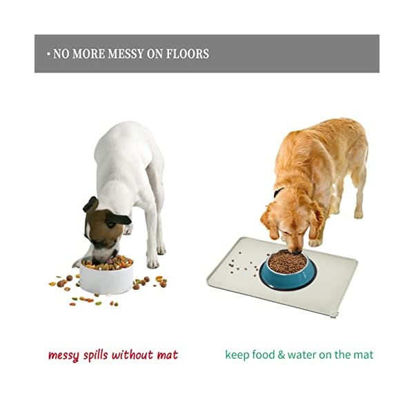 Non-Stick Food Pad