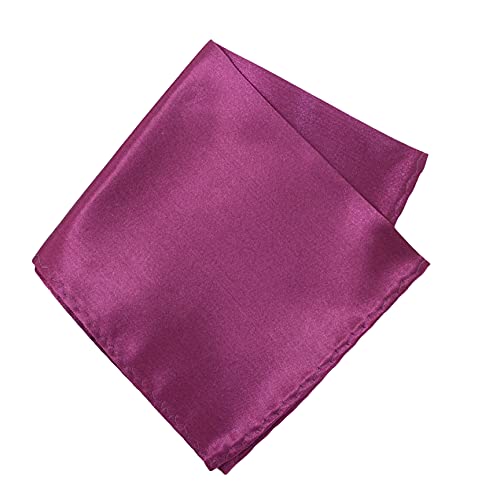Image of TIE STUDIO Men's Solid Pocket Square | Size- 10cm x 10cm | Colour-Royal Blue | Pack of 1 |