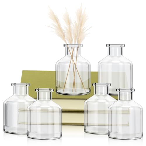 6 vases à bourgeons en verre transparent soliflore design pour table