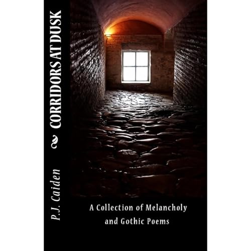 CORRIDORS AT DUSK by Paul James Caiden episode artwork