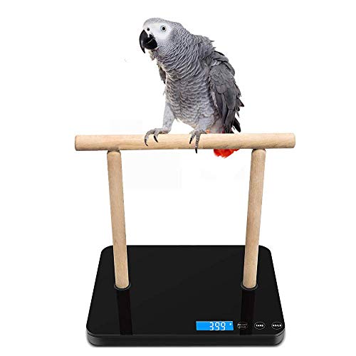 Digital-Pet-Bird-Scale-Parrot-Training-Weight-Scale-with-Perch-005-Ounce-Accuracy70-Ounce-Capacity-Easy-Clean-Black-Glass-Platform-Suitable-for-Parrot-and-Macaws