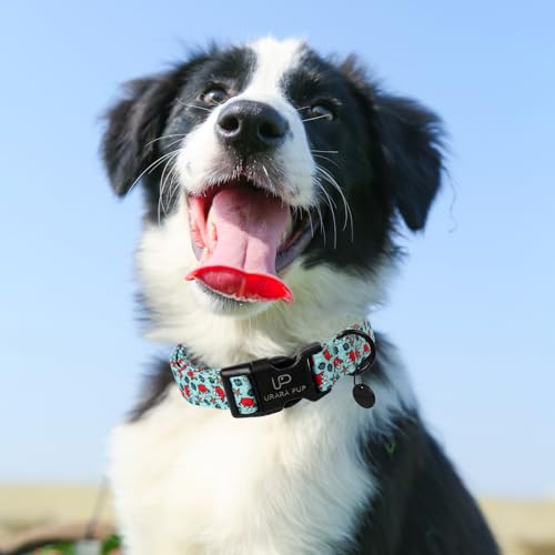 Image of Summer Dog Collar, Crab Print Dog Collar with Adjustable Plastic Buckle, Lightweight Cute Pet Collar, Ideal Gift for Boy Girl Dogs