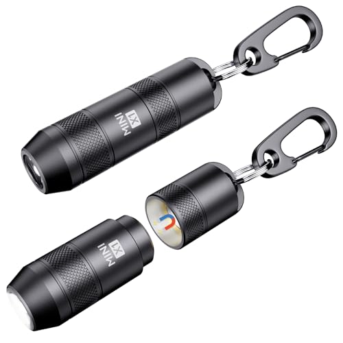Image of 2-Pack Mini Keychain Flashlights, 100 Lumens, USB-C, Black