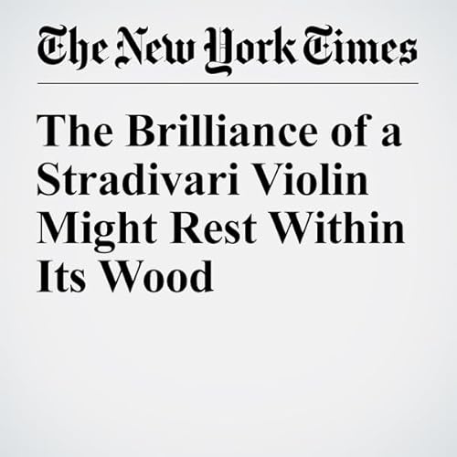 The Brilliance of a Stradivari Violin Might Rest Within Its Wood cover art
