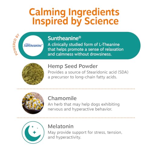 Image of Zesty Paws Hemp Calming Chews for Dogs - Dog Hemp Calming Chews with Melatonin for Dogs for Stress, Travel, Check Ups, Thunderstorms, Separation Anxiety and More - Turkey - 90 Count