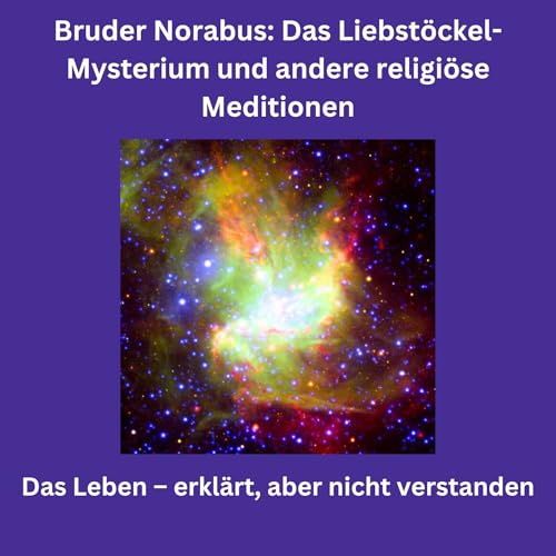 Page de couverture de Das Leben – erklärt, aber nicht verstanden