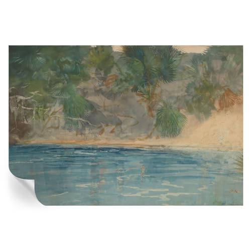 Murales de pared adhesivos costa tropical para renovar sin obras 2