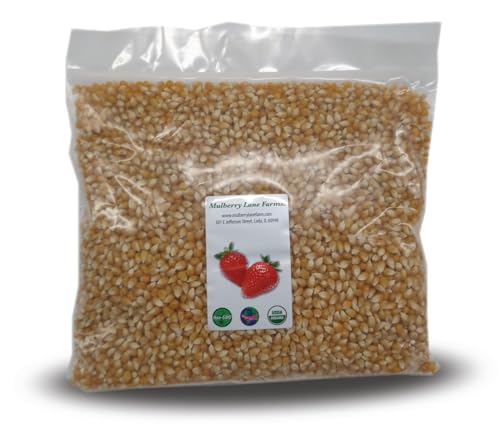 Yellow Popcorn Popping Corn, 5 Pounds Kernels, USDA Certified Organic, Non-GMO Bulk, Product of USA, Mulberry Lane Farms image 3