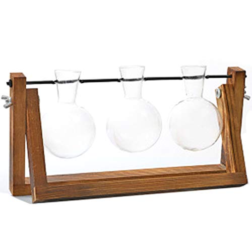 Koanhinn Vaso da scrivania in vetro a cipolla vaso aria terrario con per piante talee decorazione ufficio