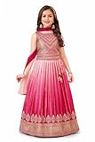 disson Girls Embroidered Lehenga Choli with Dupatta, Sleeveless Anarkali Gown, Pink Blue Orange, Indian Ethnic...