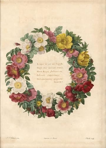 Eau forte de Pierre Redouté tableau haut de gamme roses 60x90