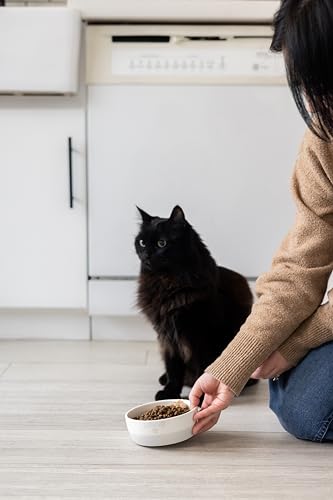 Pearhead Tigela de cerâmica para gatos Paws Off, tigela pequena para comida e água para gatos, prato