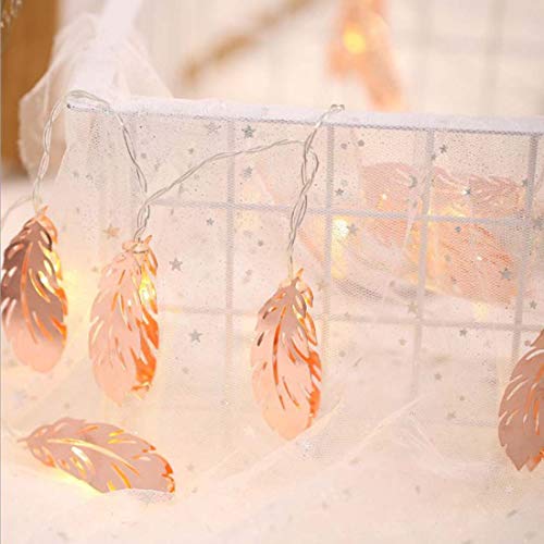 Amants01 10Ft 20 Led Rose Gold Metal Feather String Lights,Battery Powered Copper Metal Lantern String Lights For Christmas,Festival,Halloween,Party Wedding,Room,Home Decoration. #TOP3