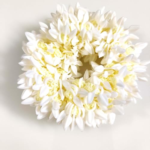 Image of Curated Cart Artificial Scented Gajra for Women Hair Bun, Juda Hair Accessories, Floral Bun Gajra for Bridal, Wedding, Party, Festival & Traditional Hairstyle, White, Pack of 1