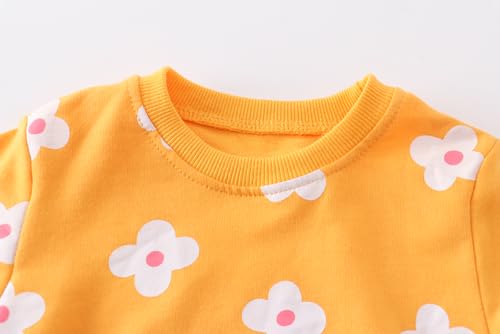 Image of AIWUHE Toddler Cotton Sweatshirt Boys Girls Pullover Long Sleeve Tops 2-6Y