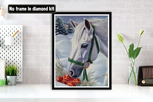 Bimkole 5D Diamond Painting Kit Completo Fai da Te...