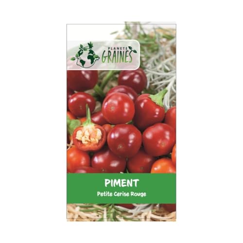 15 graines de piment red cherry small -ciliegia piccante - piment rouge - cherry bomb - Early...