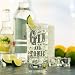 Gin & Tonic Hi Ball G&T Glass. Un regalo divertido para cualquier...