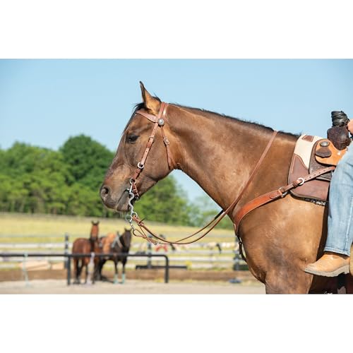 Weaver Leather unisex adult western-equestrian-style Stacy Protack b band, Brown, One Size US