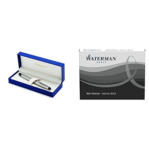 Waterman Expert stylo plume pointe moyenne acier satiné noir