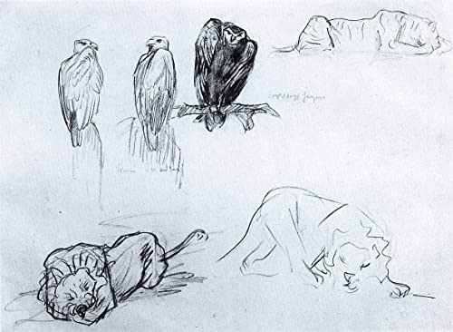 Impresiones en lienzo del Mar y leones de Marc en un gran formato de 60x90cm