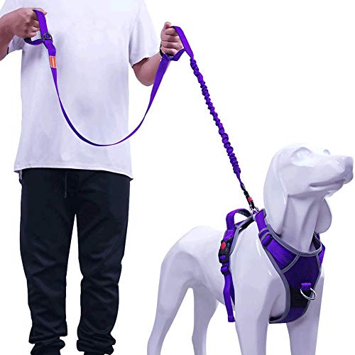 AdventureMore Dog Harness Leash Set, No-Pull Dog Harness, Front Clip Dog Harness, Reflective