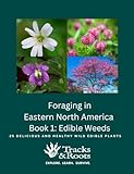 Foraging in Eastern North America Book 1: Edible Weeds