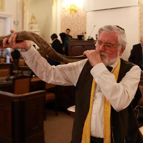 הרב מיכאל דושינסקי דבר פרשה כי תבוא תשפ"ה 4 Rabbi Michael Dushinsky מִספר בעקבי פרשיות „מלבוש רוחני”