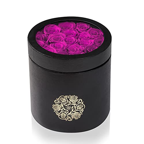 Natroses Preserved Roses Purple Roses In A Box That Last Up To Three Years, Long Lasting Roses For Her, Preserved Flower Gifts For Her Valentines Day Gifts #TOP3