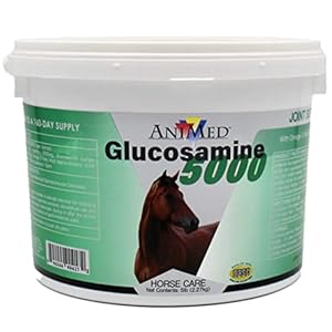 ANIMED Glucosamine 5000 – Natural Joint Health Supplement with Omega 3, Antioxidant Protection, and Digestive Support for Horses, 5 lbs…