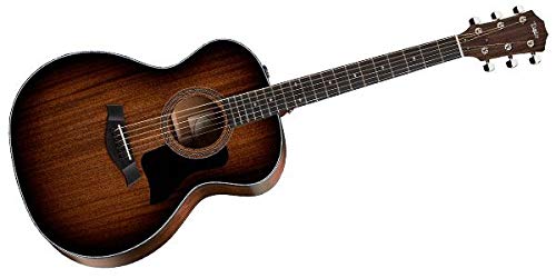 Taylor Guitars (eC[) TAYLOR GUITARSieC[M^[Yj 324e