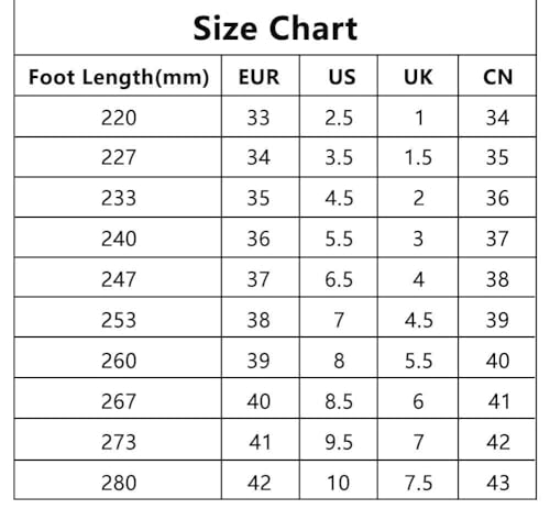 Roller Schuhe, Schuhe mit Rollen rollerskates mädchen Männer, Skateboard Schuhe Bequem Und Atmungsaktiv Quad Skates Verstellbare Rollschuhe Verstecktes Rad Sneaker mit Rollen