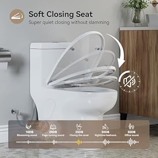 HOROW One Piece Elongated Toilet, High Efficiency Dual Flush 1.1/1.6 GPF, Easy-to-Clean Design, Soft-Close Seat, Compact Modern Bathroom Toilet, 12'' Rough-In, White Ceramic Bowl