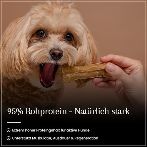 Dog Time Tiernahrung Kauknochen mit Pansen 5 Stück a 12 cm getrocknet I Gesunder Kausnack aus 100% Rind für Hunde I Hundeleckerli mit vielen wertvollen Vitaminen & ohne Zucker