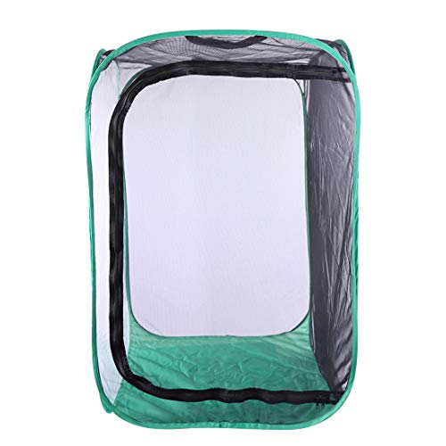 Poxl Insekt Und Schmetterling Habitat Käfig Schwarzes Netz Green Edge Faltbare Schutz Käfig Terrarium Pop-Up