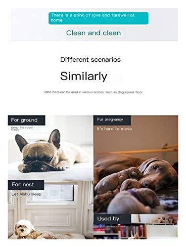 Tapete higiênico para cães, almofadas de treinamento descartáveis ​​para filhotes, almofadas de peni