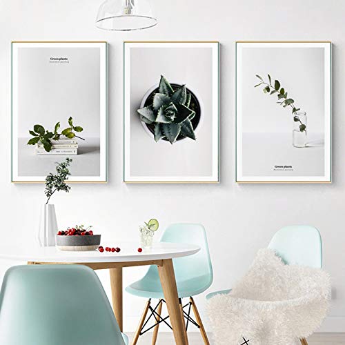 Art mural plante verte cactus : lot de 3 toiles minimalistes 50x70 cm sans cadre pour salon