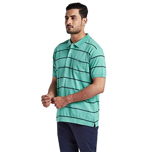 Image of Colorplus Men's Pure Cotton Stripe Pattern Classic Fit Polo Neck Half Sleeve Casual T-Shirt