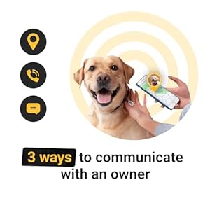 Qr code dog tag pet id tags for dogs  silent dog tags personalized for pets  qr tag to pet online profile  stainless steel dog tag with rubber silencer im lost    cucciolini doodles