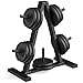 Weight Plate Rack, Weight Tree, 1-Inch Home Gym Storage Stand, Holds 300 lbs
