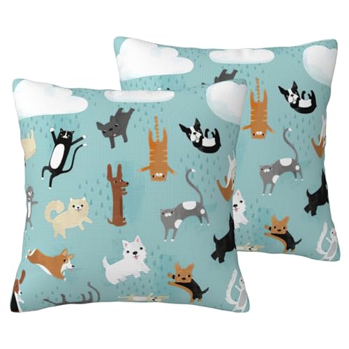 Housses de coussin chat et chien EdWal pour décorer le lit - 2