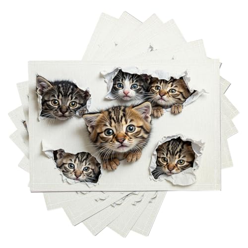Juego de 4 Manteles Individuales Gato Después De Romper Papel, Marrón Salvamanteles Individuales, Animal Divertido En 3D Salvamanteles De Mesa De Algodón Y Lino para Mesa De Cocina Hogar, 45x30cm
