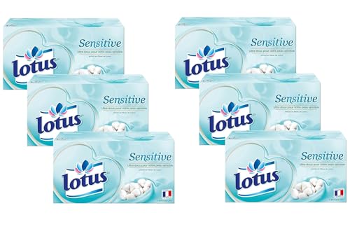 Lotus Sensitive 480 Mouchoirs blanc en boîte (Lot de 6 Boîtes x 80 Mouchoirs) 4 épaisseurs pour plus de confort - Offre Spéciale