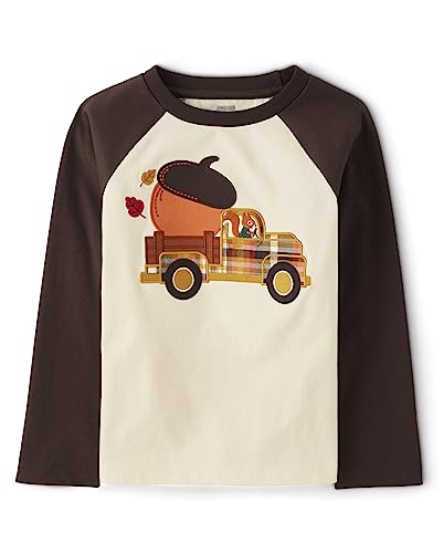 Gymboree Baby Boys' and Toddler Embroidered Graphic Long Sleeve Raglan T-Shirts