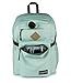 JanSport Main Campus Backpack - Travel or Work Backpack with 15-Inch Laptop Sleeve and Dual Water Bottle Pockets, Faded Sage