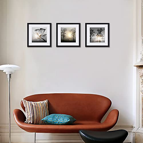 Black And White Wall Art Painting For Living Room Decor Tree At Sunrise Giclee Prints Landscape Canvas Print Posters 3 Piece Black Frames Nature Photos Off White Matte Artwork Pictures Printed On Canvas #TOP2