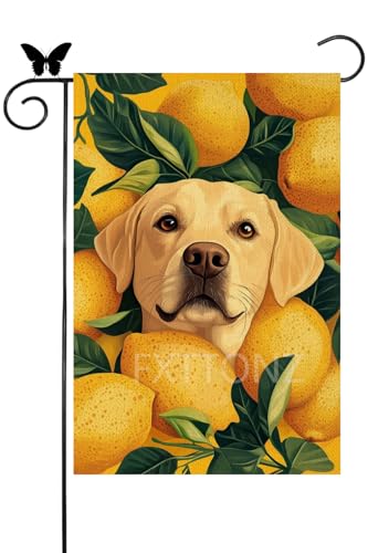FXTTONZ Spring Garden Flag Double Sided 12x18 Inch Lemon Labrador Retriever Spring Small Flags For Outside Outdoor Decor Yard Farmhouse Holiday Summer Decorations Yard Flags (16752)