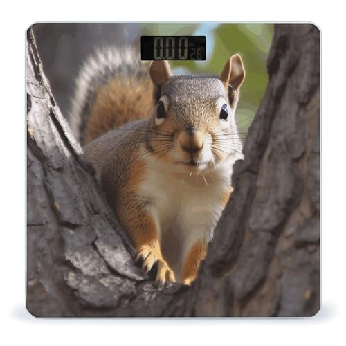 Báscula digital de baño con capacidad 400 lb y pantalla LCD miniatura 1