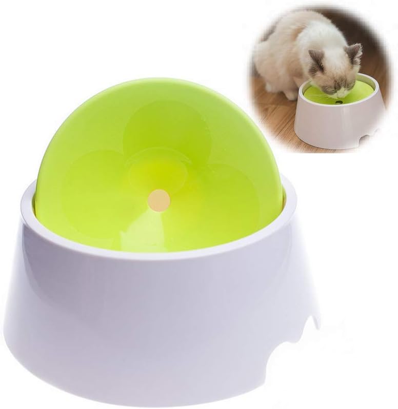 Dog Water Bowl Pet Slow Feeder 2 in 1 Spill Proof Cat Raised Water Dispenser 1000ml
